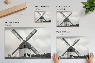 Poster dai colori saturi Un mulino a vento bianco e nero in un campo con dei cavalli