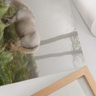 Poster murale di alta qualità cavallo in una foresta nebbiosa tra le felci
