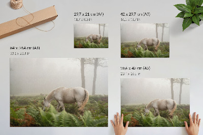 Poster murale di alta qualità Un cavallo sullo sfondo di felci in una foresta nebbiosa.
