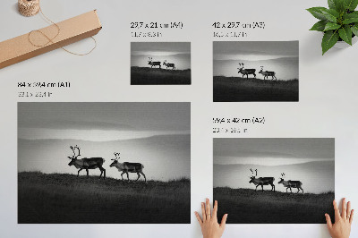 Poster murale di alta qualità Renna su una collina, composizione minimalista