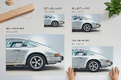 Poster Auto sportiva classica, stile elegante e chic