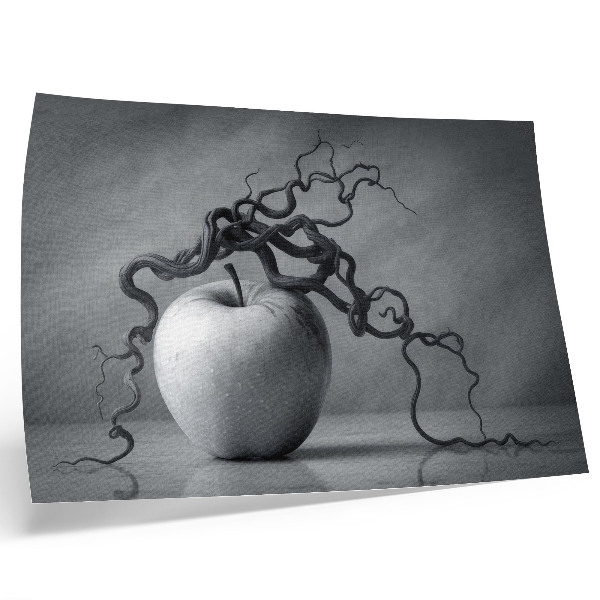 Poster dai colori saturi Il contrasto tra la mela e il ramo è un armonioso monocromatico