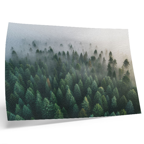 Stampa su tela moderna Foresta verde nella nebbia, suggestiva e misteriosa