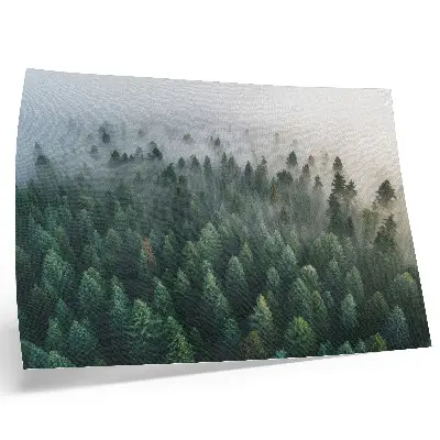 Stampa su tela moderna raffigurante una foresta verde nella nebbia suggestiva e misteriosa