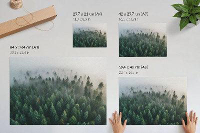 Stampa su tela moderna Foresta verde nella nebbia, suggestiva e misteriosa