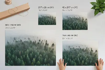 Stampa su tela moderna raffigurante una foresta verde nella nebbia suggestiva e misteriosa