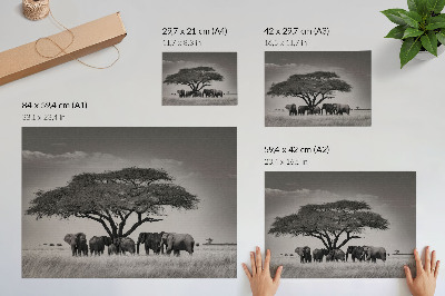 Poster Elefanti sotto un albero nella savana africana