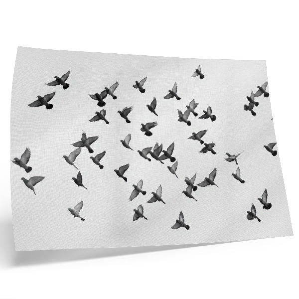 Poster murale di alta qualità Uccelli in volo: eleganti armonie in bianco e nero