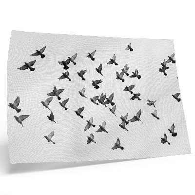 Poster murale di alta qualità Uccelli in volo: eleganti armonie in bianco e nero