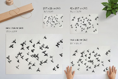Poster murale di alta qualità Uccelli in volo: eleganti armonie in bianco e nero
