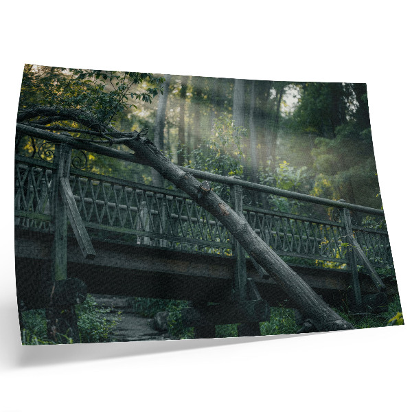 Poster Un ponte di legno immerso nel verde e nella luce del sole.