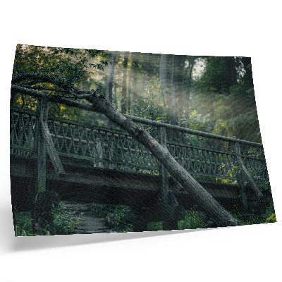 Poster Un ponte di legno immerso nel verde e nella luce del sole.