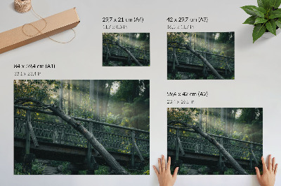 Poster Un ponte di legno immerso nel verde e nella luce del sole.