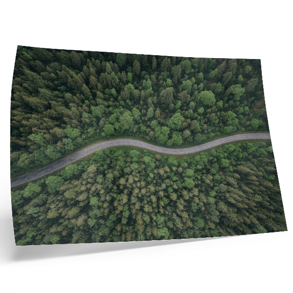 Stampa su tela moderna Strada serpeggiante immersa nella foresta, atmosfera tranquilla