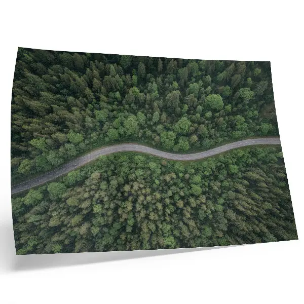 Stampa su tela moderna strada serpeggiante immersa nella foresta dall'atmosfera tranquilla