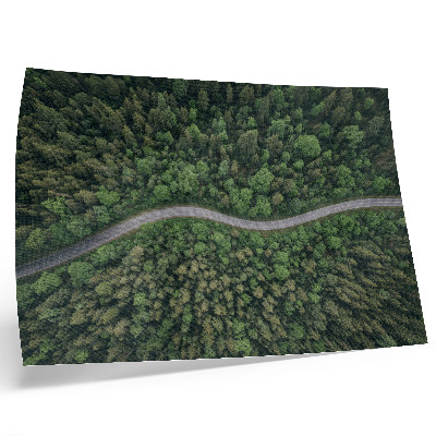 Stampa su tela moderna Strada serpeggiante immersa nella foresta, atmosfera tranquilla