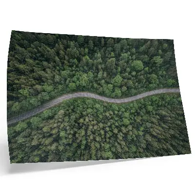 Stampa su tela moderna strada serpeggiante immersa nella foresta dall'atmosfera tranquilla