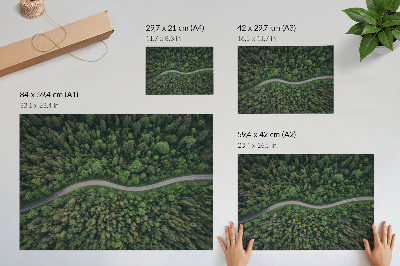 Stampa su tela moderna Strada serpeggiante immersa nella foresta, atmosfera tranquilla