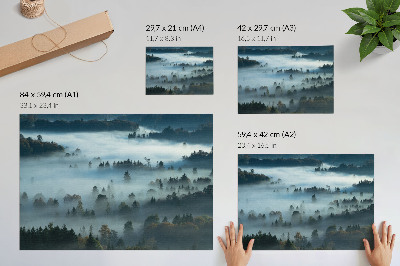 Poster dai colori saturi Alberi verdi nella nebbia, atmosfera tranquilla, colori tenui