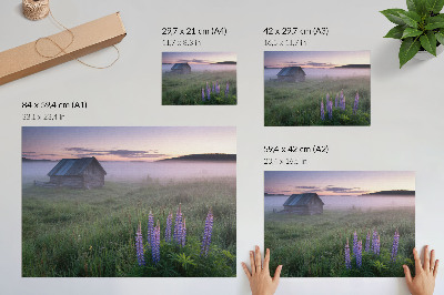 Stampa su tela moderna Casetta di legno pittoresca, nebbia, fiori, natura