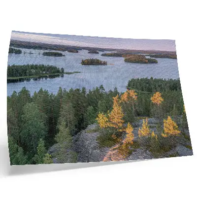 Poster isola di pineta sul lago con cielo pastello