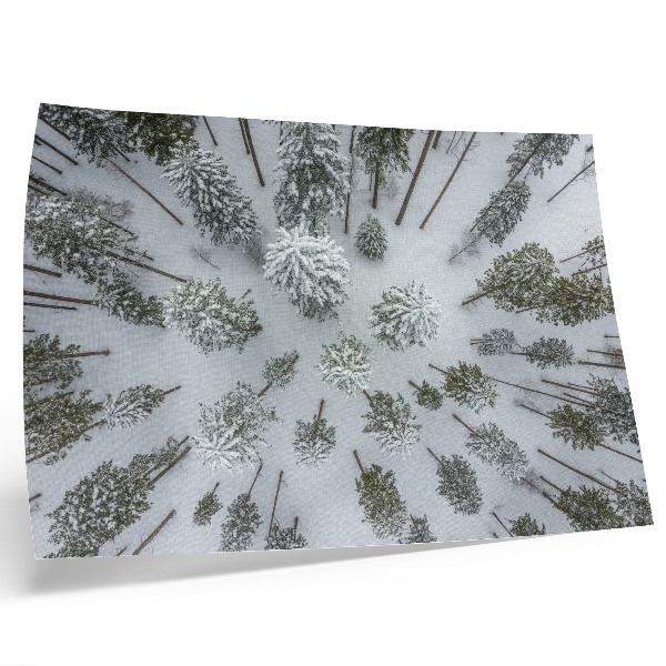 Poster dai colori saturi Pace nella foresta invernale, minimalismo, naturalezza