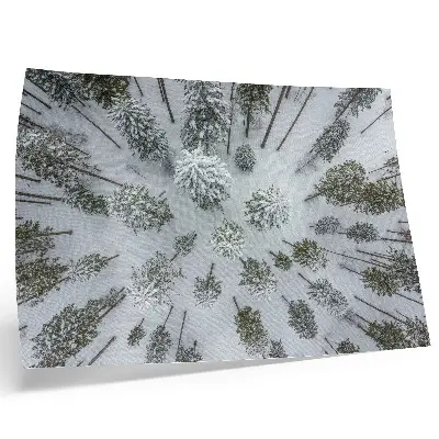 Poster con colori saturi pace nella foresta invernale in stile minimalista naturale
