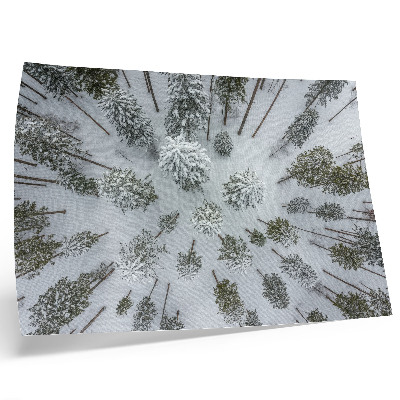 Poster dai colori saturi Pace nella foresta invernale, minimalismo, naturalezza