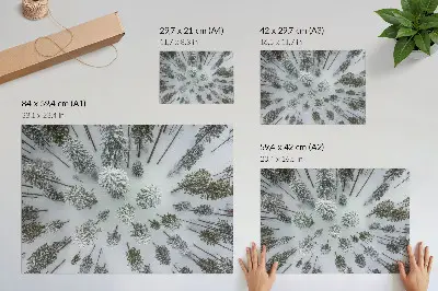 Poster con colori saturi pace nella foresta invernale in stile minimalista naturale
