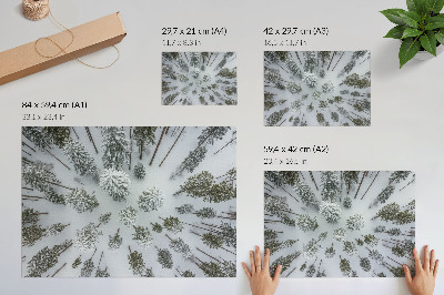 Poster dai colori saturi Pace nella foresta invernale, minimalismo, naturalezza