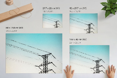 Poster Uccelli sui cavi elettrici cielo blu