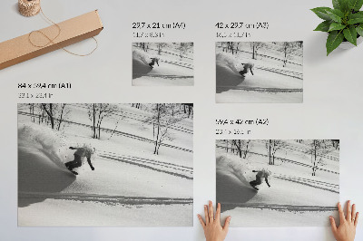 Stampa su tela moderna Snowboarder in azione, contrasti tra gli alberi innevati