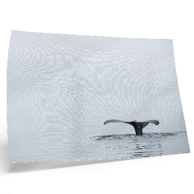 Poster dai colori saturi Coda di balena sopra l'acqua minimalismo armonia
