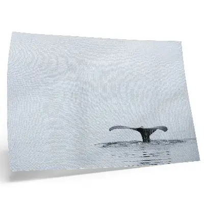 Poster con coda di balena minimalista con colori saturi ispirati all'armonia dell'acqua