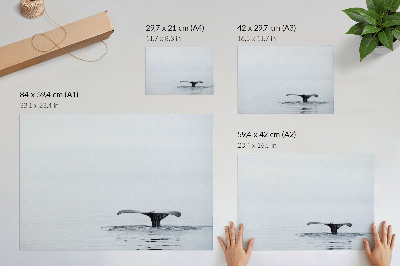 Poster dai colori saturi Coda di balena sopra l'acqua minimalismo armonia