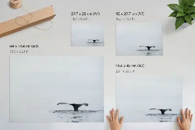 Poster con coda di balena minimalista con colori saturi ispirati all'armonia dell'acqua