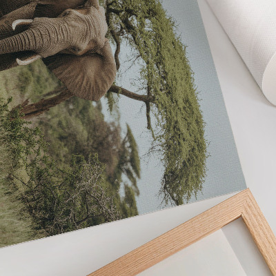 Stampa su tela moderna Un elefante sullo sfondo di una savana verde.