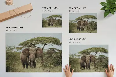 Stampa su tela moderna raffigurante un elefante su sfondo di savana verde