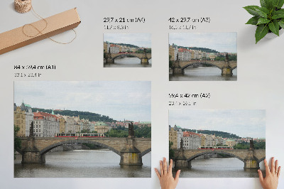 Poster murale di alta qualità Un ponte sul fiume con un tram, circondato da architettura classica
