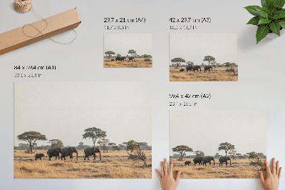 Poster Elefanti nella savana africana tra gli alberi