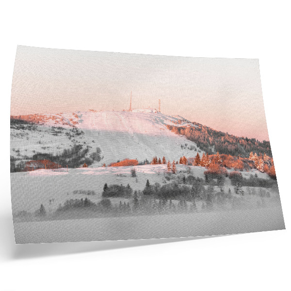 Poster dai colori saturi Un paesaggio invernale nei toni del rosa e del bianco