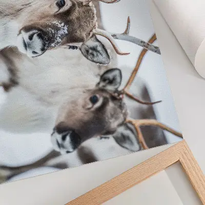 Stampa su tela moderna motivo con renne e corna naturali in un armonioso paesaggio invernale