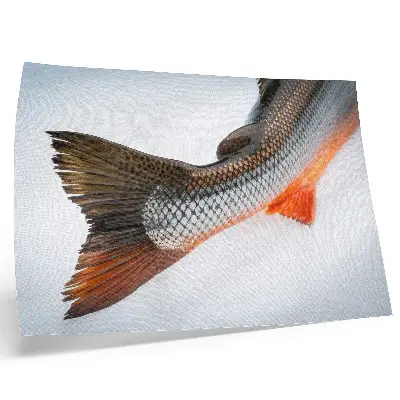 Poster con squame naturali e colori dinamici in primo piano