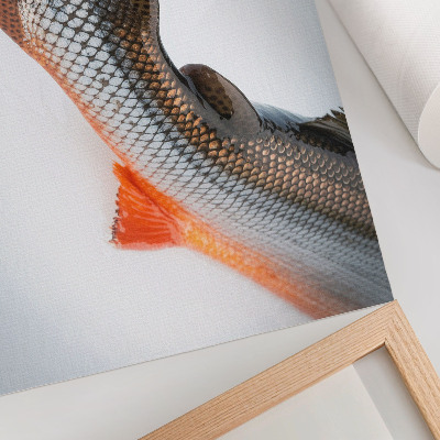 Poster Squame naturali e colori dinamici in primo piano