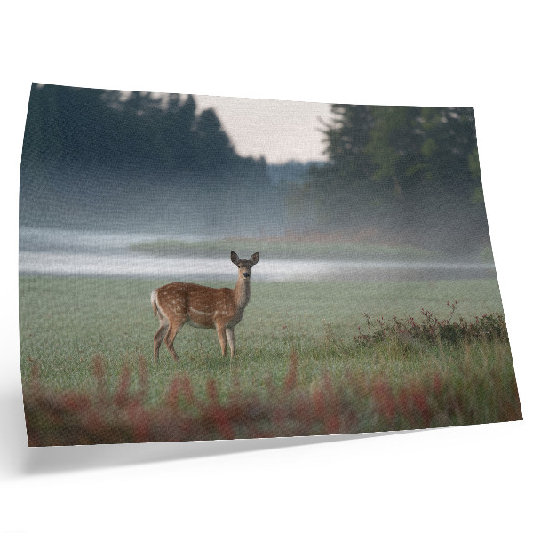 Poster murale di alta qualità Cervi sullo sfondo di prati e foreste avvolti dalla nebbia.