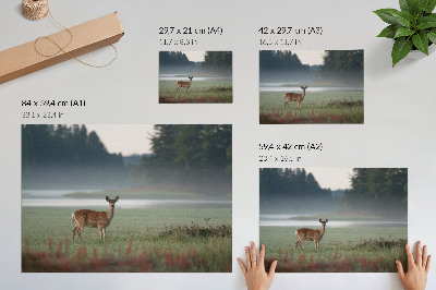 Poster murale di alta qualità Cervi sullo sfondo di prati e foreste avvolti dalla nebbia.