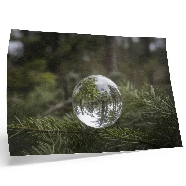 Stampa su tela moderna sfera di cristallo su sfondo con ramo di pino