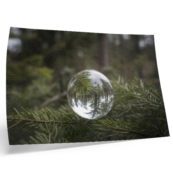 Stampa su tela moderna Una sfera di cristallo sullo sfondo di un ramo di pino.