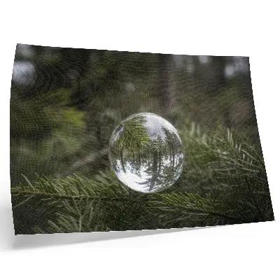 Stampa su tela moderna sfera di cristallo su sfondo con ramo di pino