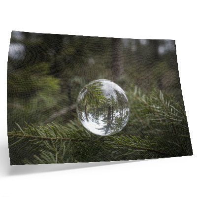 Stampa su tela moderna Una sfera di cristallo sullo sfondo di un ramo di pino.